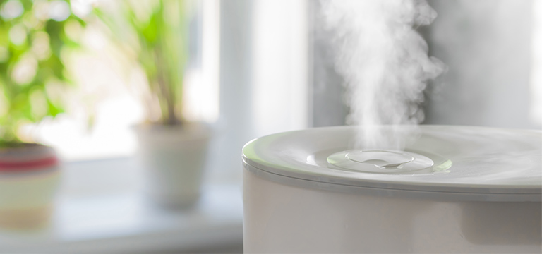 The Health Benefits of Humidifiers - Blue Cross and Blue Shield's ...